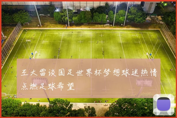 王大雷谈国足世界杯梦想球迷热情点燃足球希望