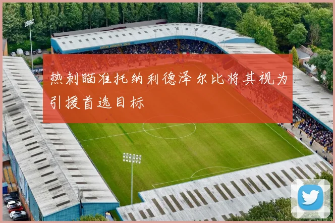 热刺瞄准托纳利德泽尔比将其视为引援首选目标